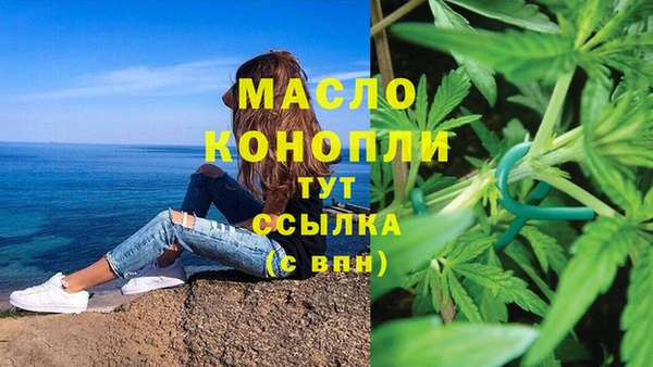 spice Богородицк