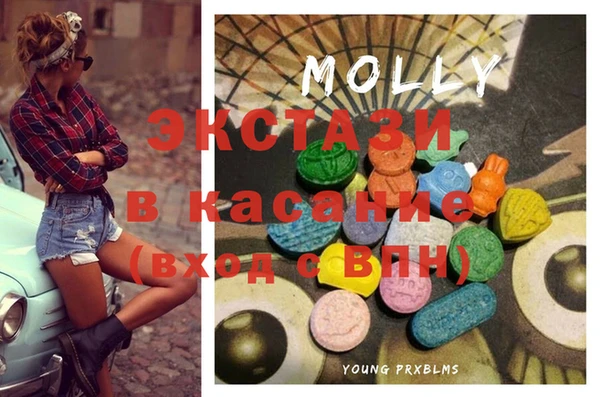 spice Богородицк