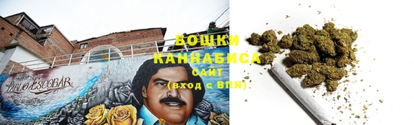 spice Богородицк