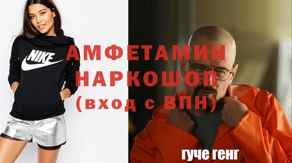 spice Богородицк