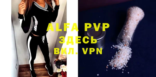spice Богородицк