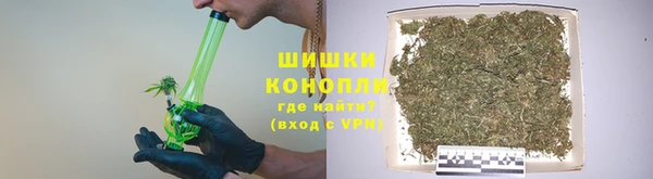 прущая мука Богданович