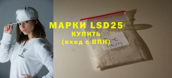 spice Богородицк
