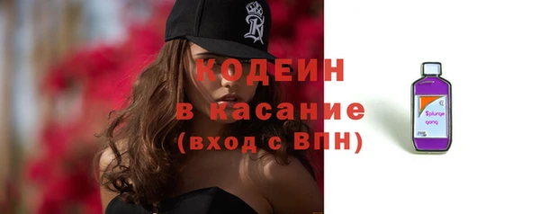 spice Богородицк