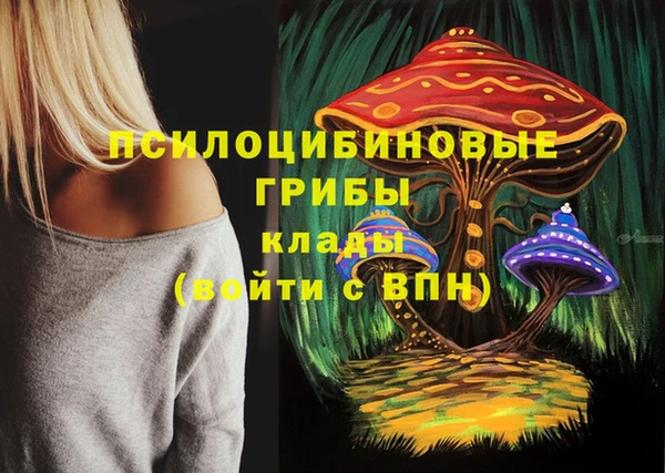 прущая мука Богданович