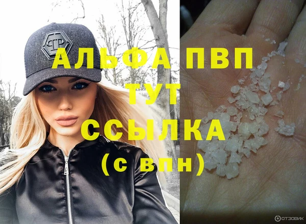 spice Богородицк